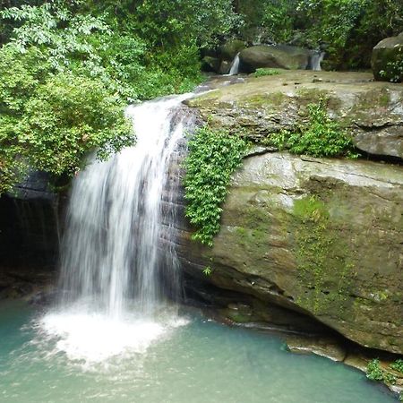 Buderim Forest Hideaway Luaran gambar