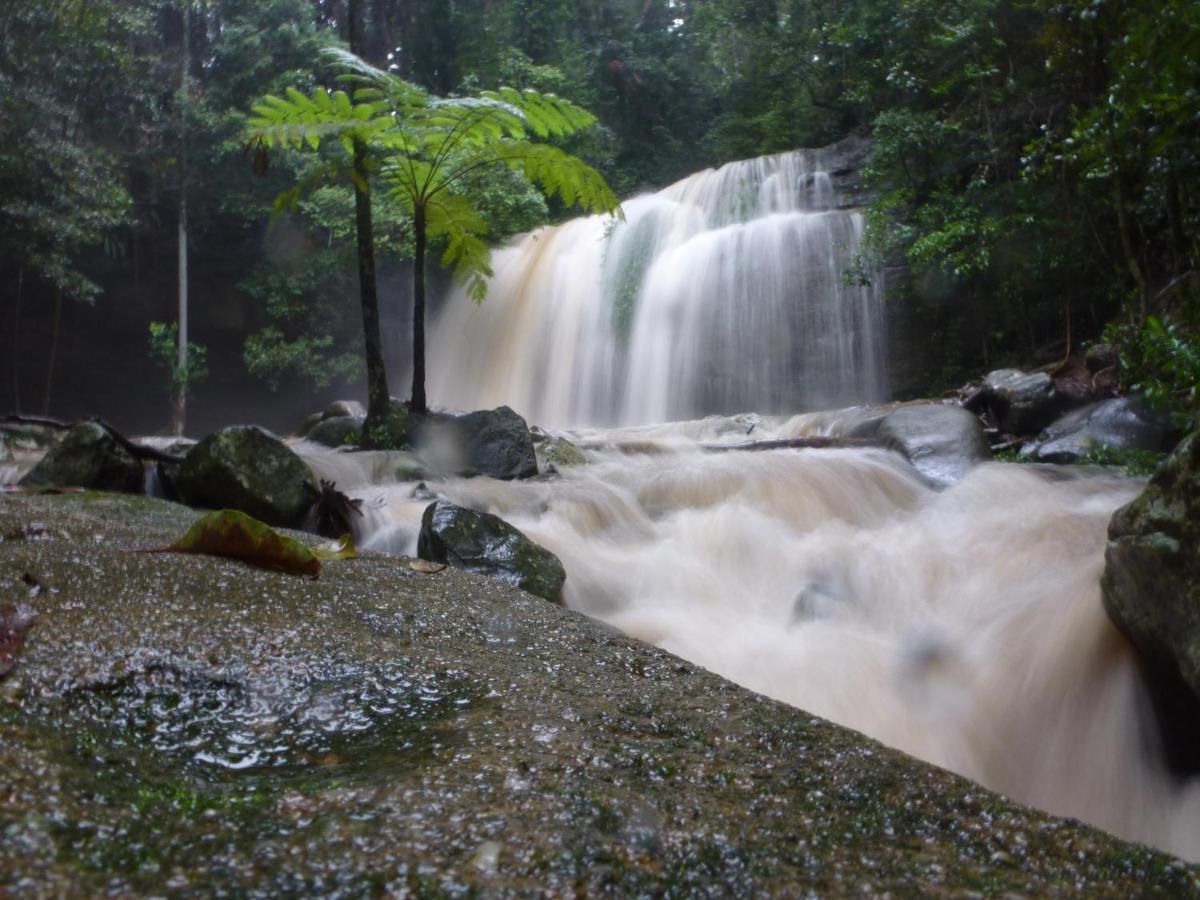 Buderim Forest Hideaway Bed & Breakfast Luaran gambar