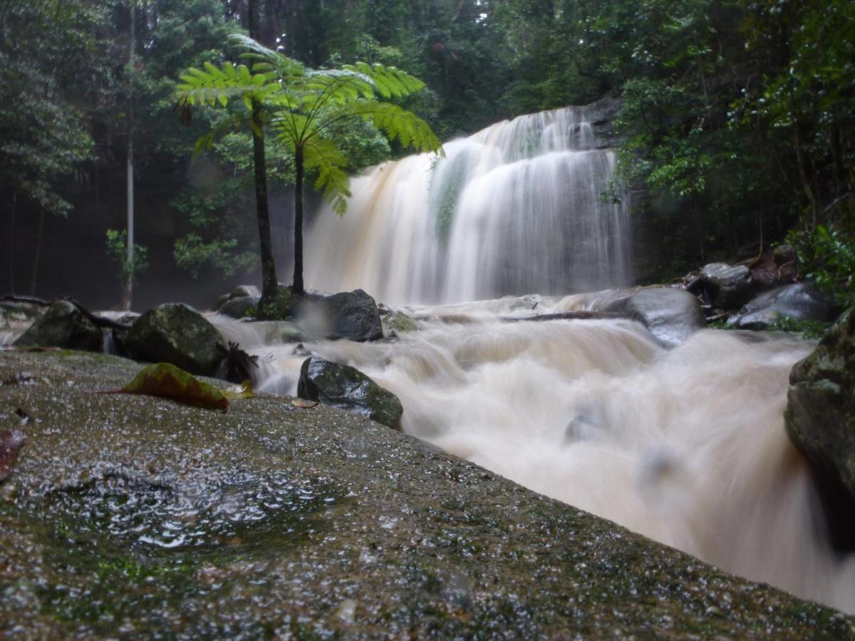 Buderim Forest Hideaway Luaran gambar