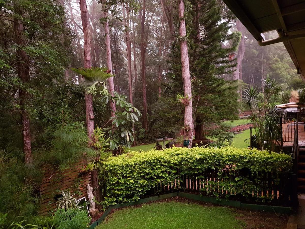 Buderim Forest Hideaway Bed & Breakfast Luaran gambar